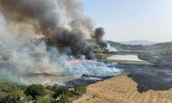 Wwf, incendio ha distrutto riserva lago Soprano