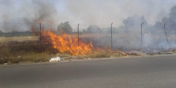 A Palermo ancora roghi a Ciaculli e all'Addaura