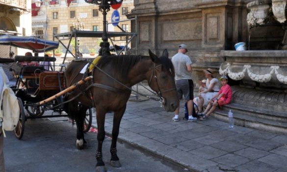 A Palermo campagna sugli autobus Amat contro le carrozze trainate da cavalli