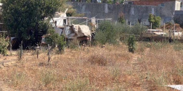 Cani maltrattati a Riposto, «lager» sgomberato da carabinieri e vigili