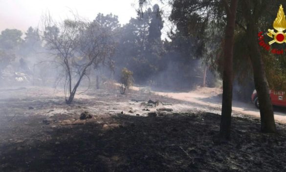 Incendi a Catania, entro il 12 agosto le segnalazioni per i danni subiti