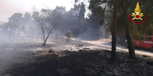 Incendi a Catania, entro il 12 agosto le segnalazioni per i danni subiti