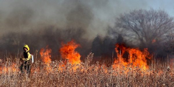 Da Pietraperzia a Belmonte Mezzagno, la Sicilia nella morsa delle fiamme