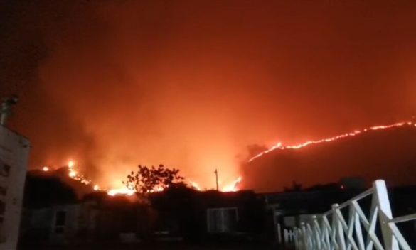 Gli incendi del 24 e 25 luglio a Palermo, stanziati i fondi per vittime