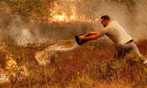 Incendi, 15 famiglie senza casa a Palermo: il Comune cerca alloggi temporanei