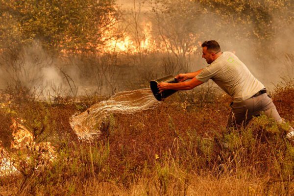 Incendi, 15 famiglie senza casa a Palermo: il Comune cerca alloggi temporanei