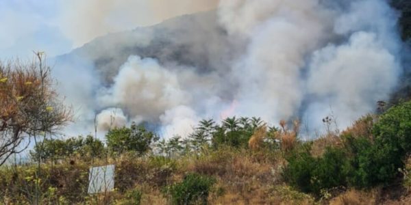 Incendio a Filicudi: l'isola è piena di turisti, i vigili del fuoco trasportati da una motovedetta