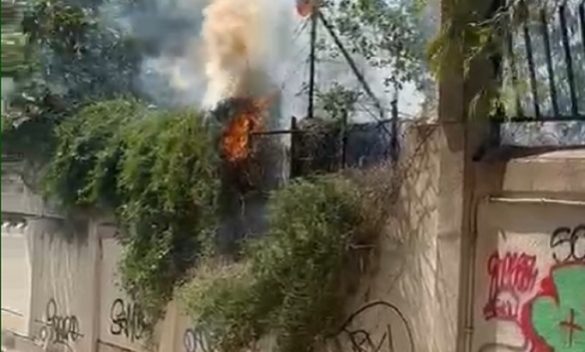 Incendio al parco Piersanti Mattarella a Palermo