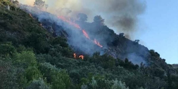 Incendio vicino all’Acquapark di Monreale, minacciate alcune abitazioni