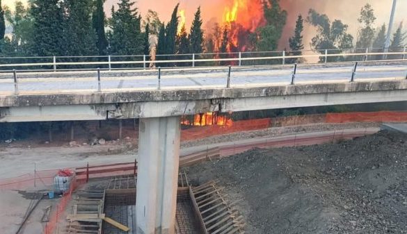 Incendio alle pendici della Rocca di Cerere: chiuso svincolo autostrada Palermo-Catania