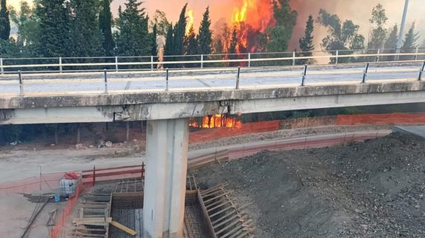 Incendio alle pendici della Rocca di Cerere: chiuso svincolo autostrada Palermo-Catania