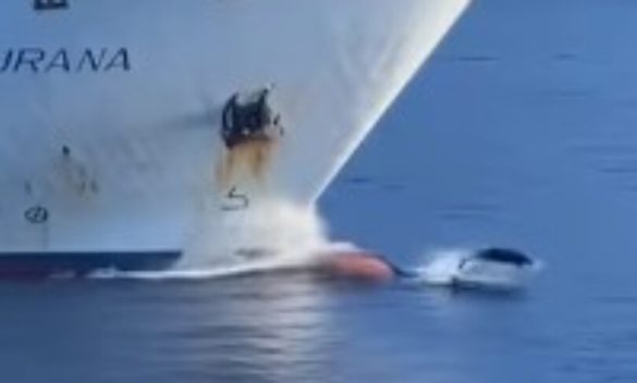 Lipari, il delfino "accompagna" la nave: lo spettacolo che incanta in mare