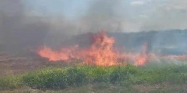 Menfi: un incendio divampa in un terreno, invade la pista ciclabile e distrugge l'auto di un poliziotto