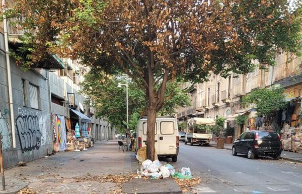 Rifiuti lasciati alla base di un albero a Catania, multe