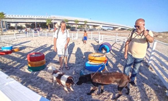 A Mazara del Vallo nasce la spiaggia per i cani