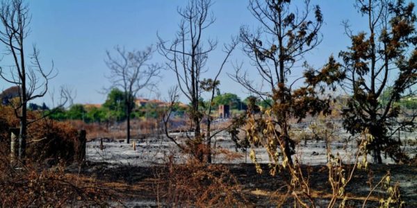 Nuovo incendio a Giarre: fiamme vicino al Comune, lambite anche alcune abitazioni