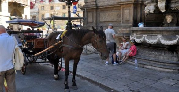 Nuovo incidente con una carrozza a Palermo, il cavallo stramazza al suolo