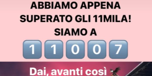 Palermo, superata quota undicimila abbonamenti: ad un passo la cifra della scorsa stagione