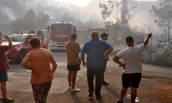 Palermo, un vademecum per cittadini e imprese vittime dei roghi