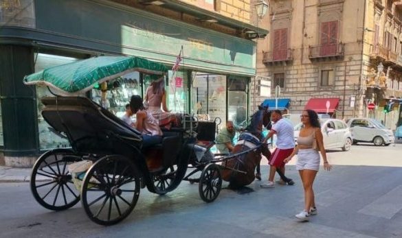 Nuovo incidente a cavallo che traina carrozza a Palermo