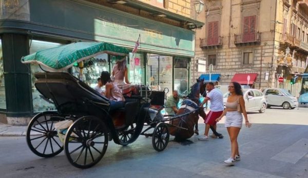 Nuovo incidente a cavallo che traina carrozza a Palermo