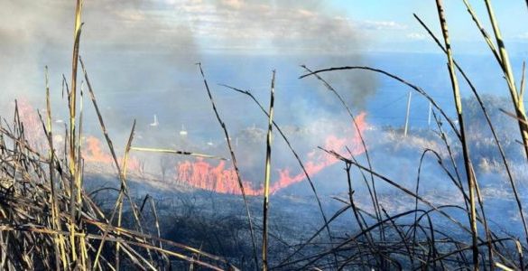 Terzo rogo nel giro di pochi giorni a Vulcano, aperta un'indagine