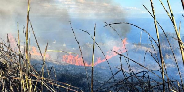 Terzo rogo nel giro di pochi giorni a Vulcano, aperta un'indagine