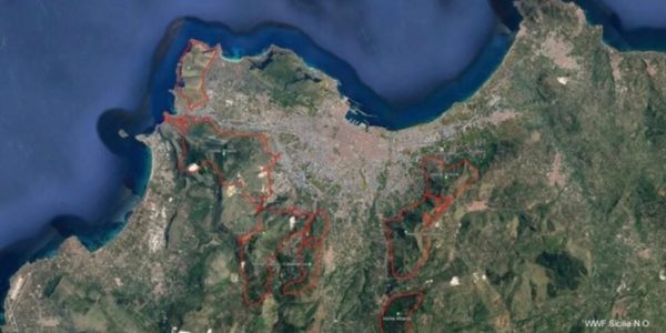 Wwf: gli incendi a Palermo unico piano criminale, bruciati 6mila ettari attorno città
