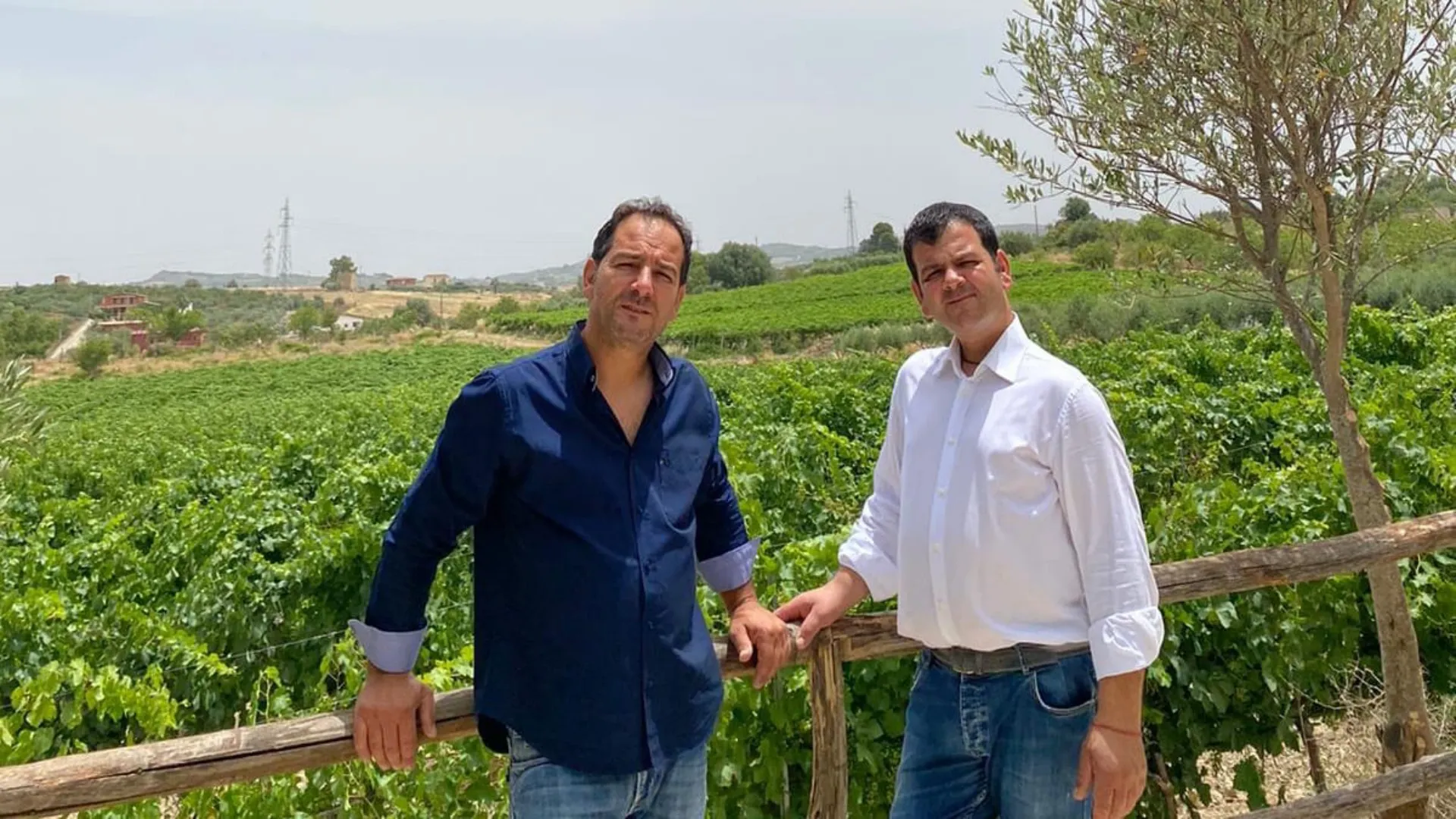Favara: Grillo's birthplace and the cellar of two brothers among vineyards - Le Vie dei Tesori