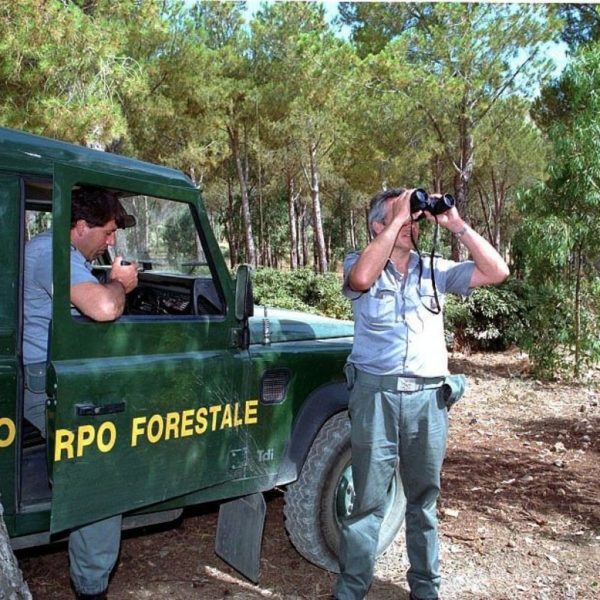 Suv modificato per vendere gelati sulla spiaggia: squestrato dalla Forestale