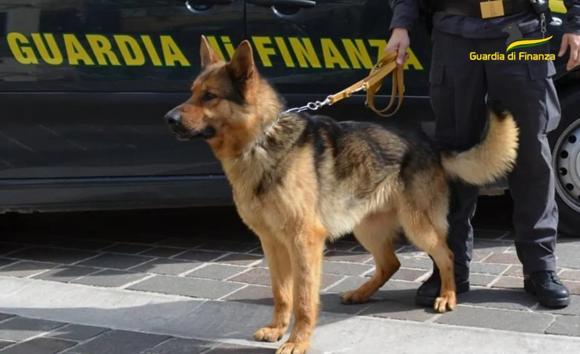Guardia di Finanza di Messina si riorganizza nel Peloritano.