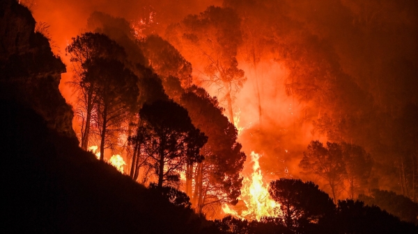 Continuano gli incendi in Sicilia. Da Agrigento parte formazione per esperti in prevenzione