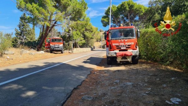 Incendio a Palermo su Monte Pellegrino, l’allarme dato da un cane