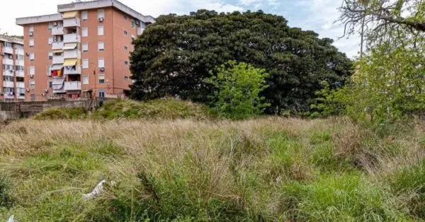 Magnolia di Giostra a Messina diventerà parco urbano.
