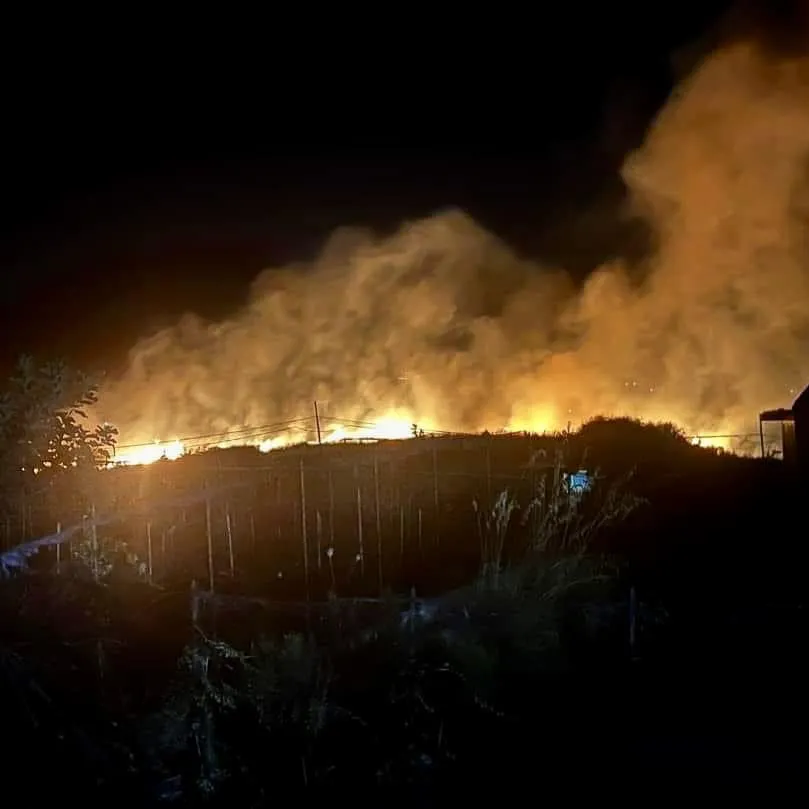Morta a Palermo donna di 42 anni nel tentativo di salvare cavalli dal rogo.