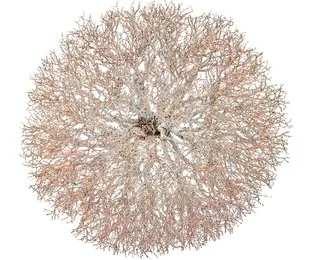 Mostra di A. Savini: l'albero, bellezza mostruosa.