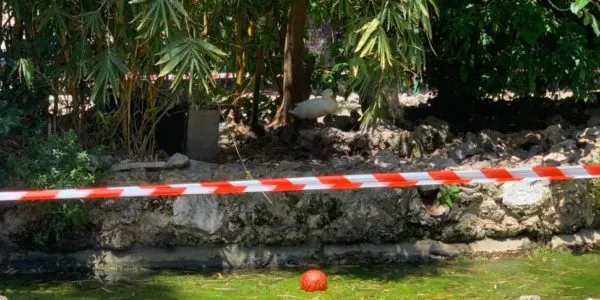 Palermo, quei parchi a perdere intitolati alle vittime della mafia
