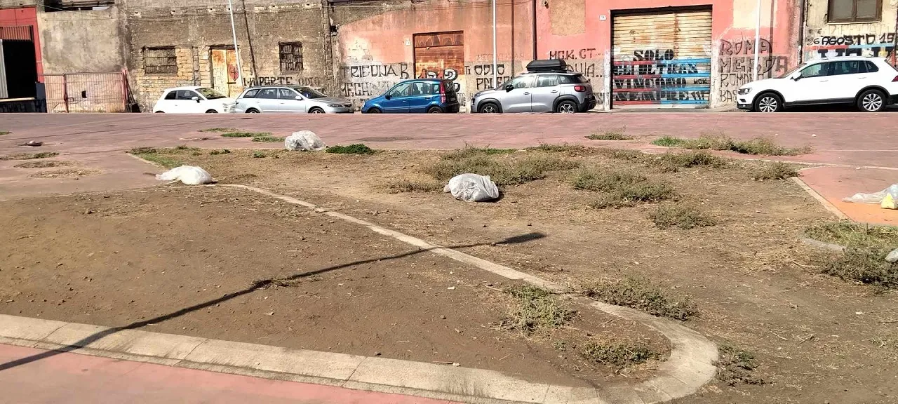 Pulito via Barcellona: Soddisfazione per il World Cleanup Day