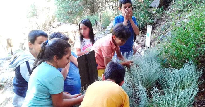 Scuola di avventura sulle Madonie: dal castello sull'albero ai percorsi sospesi
