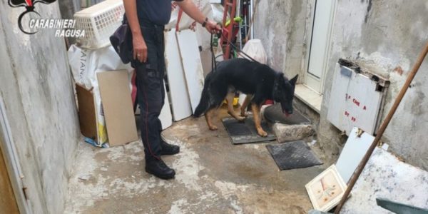 Pozzallo, aveva droga a casa: arrestato ventiquattrenne