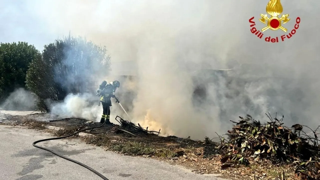 Vigili del fuoco in azione: incendiati scarti di potature.