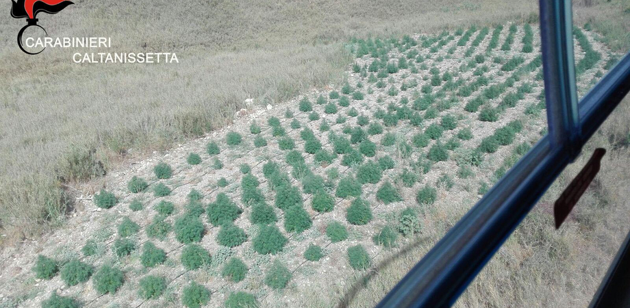 Caltanissetta, dieci condannati in abbreviato per la droga sull'asse Riesi-Palermo