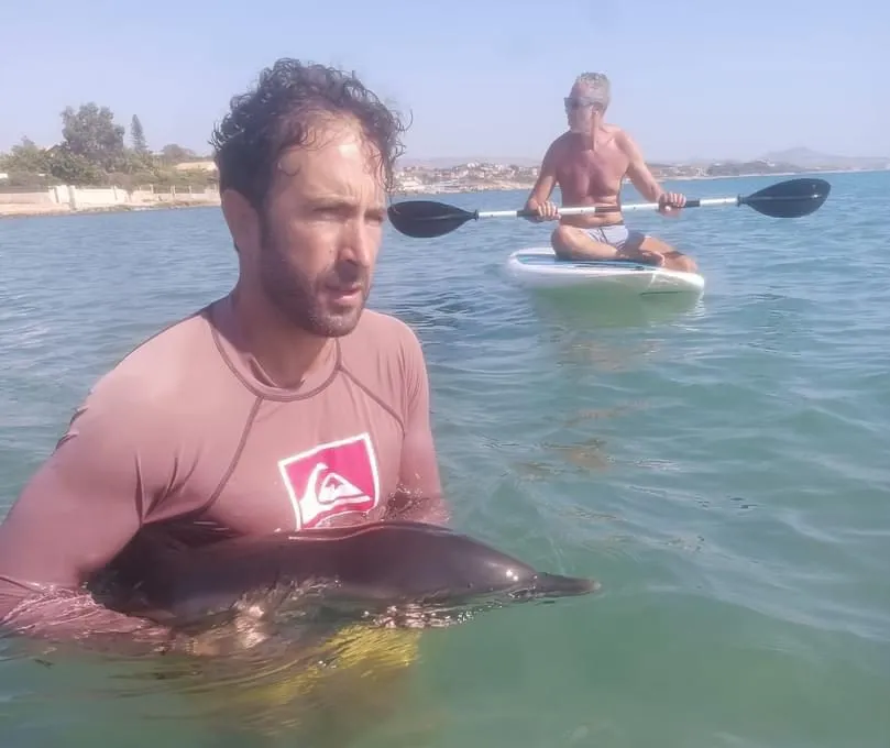 Cucciolo di delfino salvato a San Leone - GrandangoloAgrigento