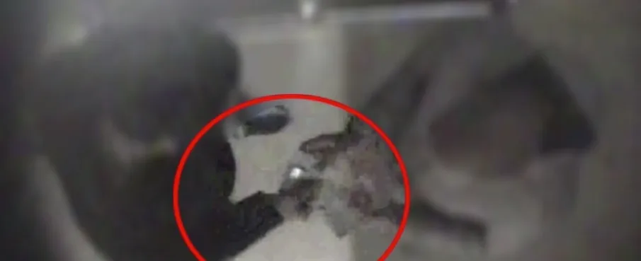 14 arresti per traffico di droga nell'Operazione Fossa dei leoni 2 a Catania