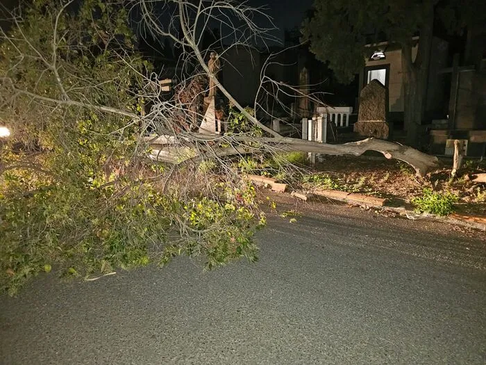 Forte vento a Catania, caduti alberi al cimitero