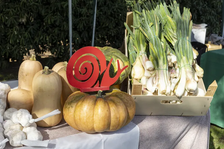 "Mangia e cambia": forum e laboratori del gusto con Slow Food a Messina.