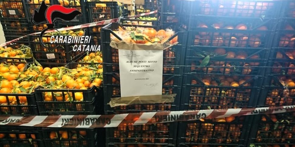 Catania, sequestrate otto tonnellate di agrumi e donate al Banco alimentare