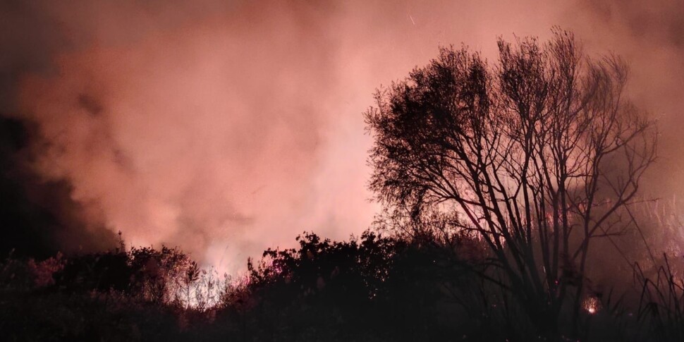 Grosso incendio nella riserva naturale di Vendicari, fiamme domate dopo dodici ore