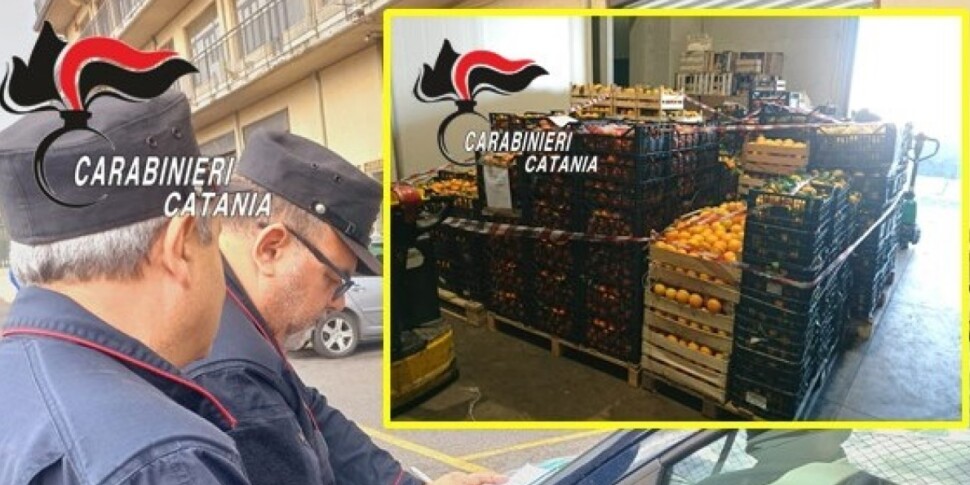 Catania, lotta ai furti di agrumi: in vendita arance non tracciate, multati i titolari di due società