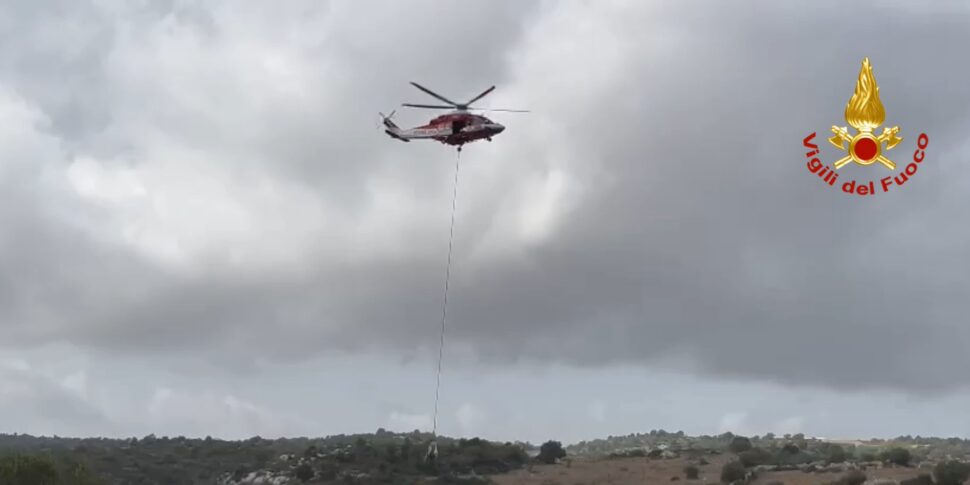 Noto, una mucca precipita in un fossato e viene recuperata da un elicottero dei vigili del fuoco